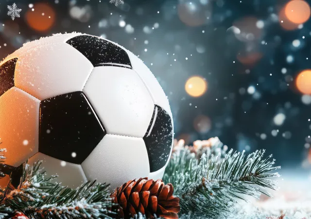 Die SGS wünscht Frohe Weihnachten