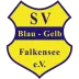 SV Falkensee