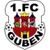 1. FC Guben